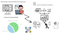 create a professional whiteboard animation video