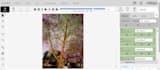 do image annotation, video annotation, keypoints and polygon