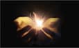 offer energetic theta healing session