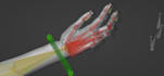 provide professional weight painting, rigging and fixed