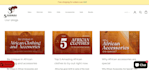 develop an optimized shopify store