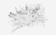 create botanical line art