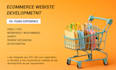 develop an online store for your brand