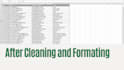 clean excel spreadsheet, data cleaning, data formatting
