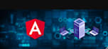 do web development in angular with modern UI UX