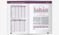 design professional layouts diagrams graphs tables charts