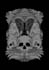 draw detailed illustrations in an engraving style