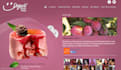 develop responsive websites landing page