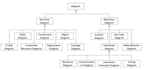 do database design and management