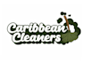 create a distinctive, contemporary cleaning logo for your company