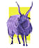 do insect and animal illustrations