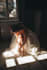 do curate,retouch, batch edit wedding and event photos