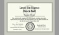 help you with everything you need for lean six sigma certifications