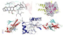 perform molecular docking, MD simulation by gromacs, and protein modeling