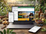 fix wcag and ada compliance issues for your website