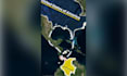 create explainer videos for you with map animation
