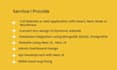 build rebuild dynamic web app using react js, next js, nest js