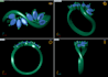 3d jewelry cad design and 3d printing