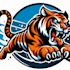 do unique tiger mascot logo design