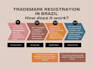 register your trademark in brazil, taxes included