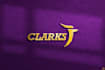 provide unique, luxurious, modern logo