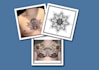 create custom mandala tattoos