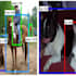 object detection projects using opencv yolo frcnn maskrcnn using python