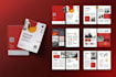 design a premium annual report for ngos and nonprofits in indesign
