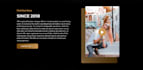 create dynamic and stunning wordpress websites for you