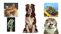 illustrate your beloved pet in a stylized realistic style