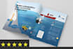 create professional custom infographics