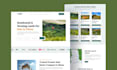 do wordpress website design clone wordpress website or landing page design