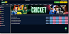 design sport bet website, bet app, tournament website, poker, fantasy web app