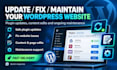 assist by updating your wordpress website