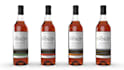 make customized 3d bottle model