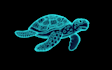 illustrations of the ocean, fish and marine animals