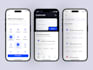 develop a professional mobile app using flutter