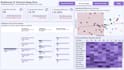 create power bi, tableau and looker studio dashboards and automate reports
