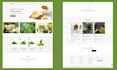 design profitable matcha shopify store matcha dropshipping store matcha website