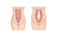 create medical and scientific illustrations for journals, publications and books