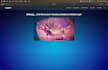create a flask web application for you using html css web template, design