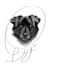draw you beautiful custom pet tattoo design