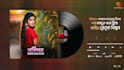 do spectrum audio visualizer and lyrical video
