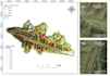 do gis mapping and perform geospatial analysis