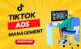 run tiktok ads campaigns, optimize with tiktok video ads
