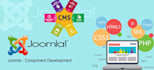 professional joomla theme development and customization