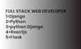 do django website, react projects, dynamic websites as a full stack developer