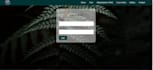 develop html, css, javascript,  and mysql programming tasks