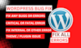 fix wordpress issues, errors, bugs, woocommerce fix, fix wordpress website