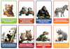 create flash cards and facts cards on any niche